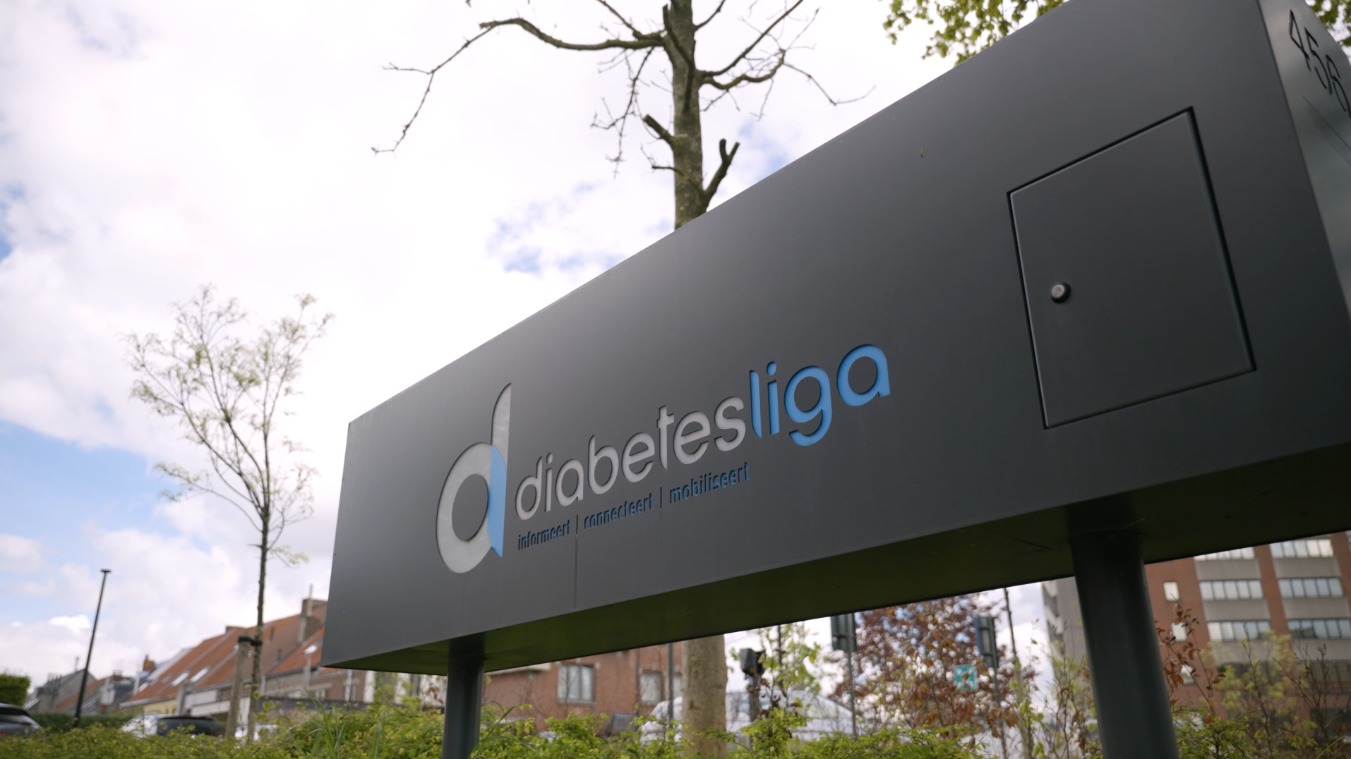 Diabetes Liga